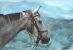 Chevaux - Horses