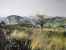 Paysages - Landscapes