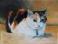 Chats - Cats
